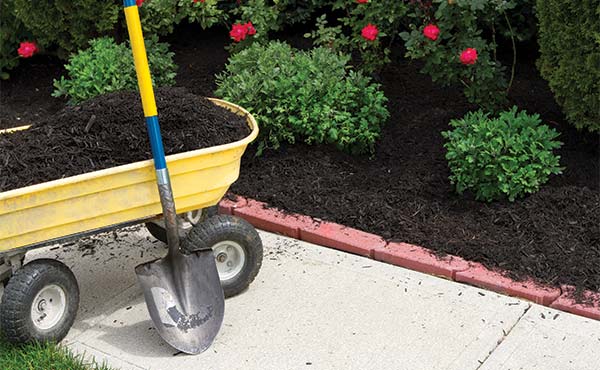 Spruce up Your Yard with Mulch